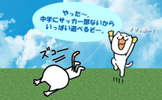 中学校にサッカー部がない場合　地域のクラブチームを探す